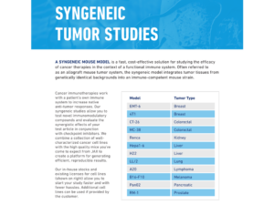 Syngeneic Tumor Studies