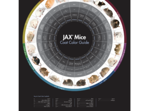 JAX Mice Coat Color Guide