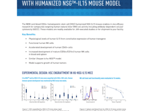 Targeting Natural Killer Cell Activity With Humanized NSG IL15 Mouse Model