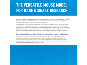 The Versatile Mouse Model for Rare Disease Research