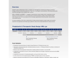Lupus Efficacy Studies