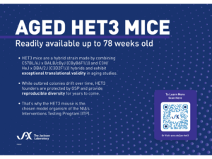 Aged HET3 Mice